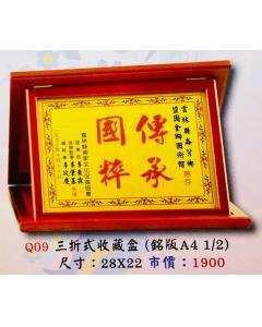 AS-P91-Q09