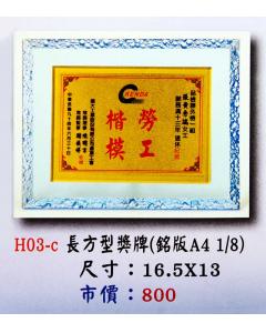 AS-P116-H03-c
